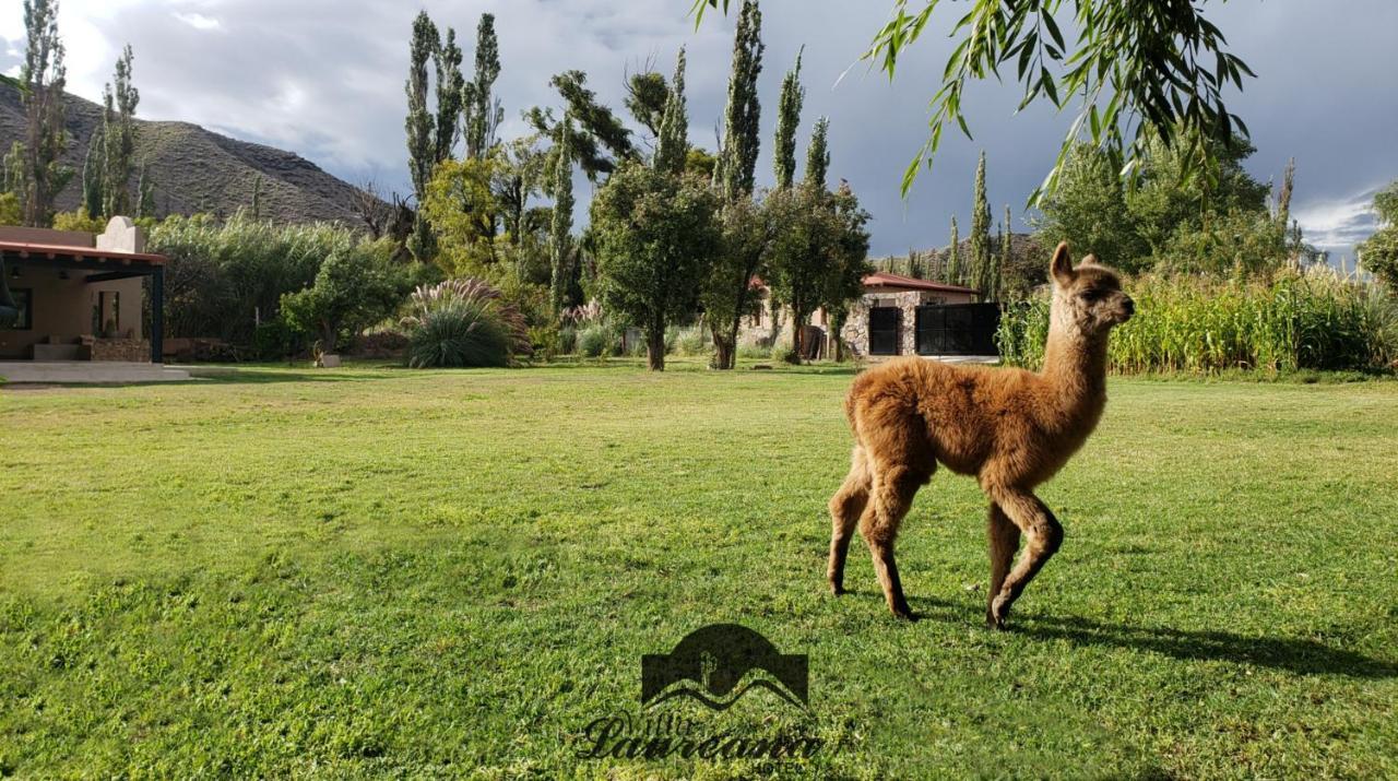 Villa Laureana Гуасалера Екстер'єр фото